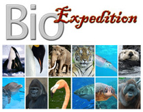 amazing animal facts